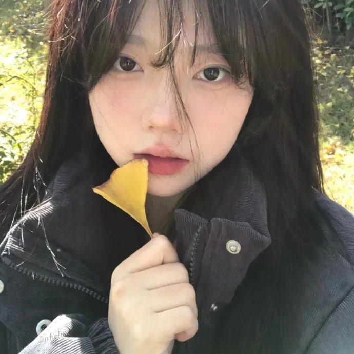 血红海岸